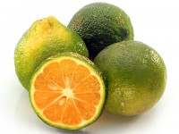 Limón Mandarina