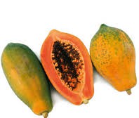 Papaya Hibrida (perfecta)