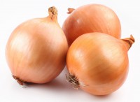 Cebolla