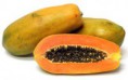 Papaya Criolla