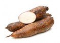 Yuca